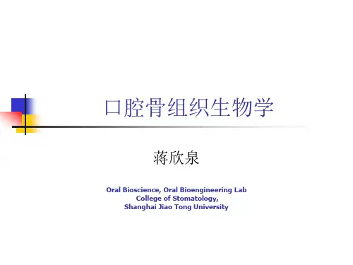 口腔骨组织生物学