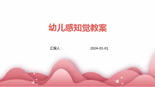 幼儿感知觉教案