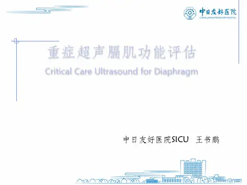 膈肌超声评估ppt课件