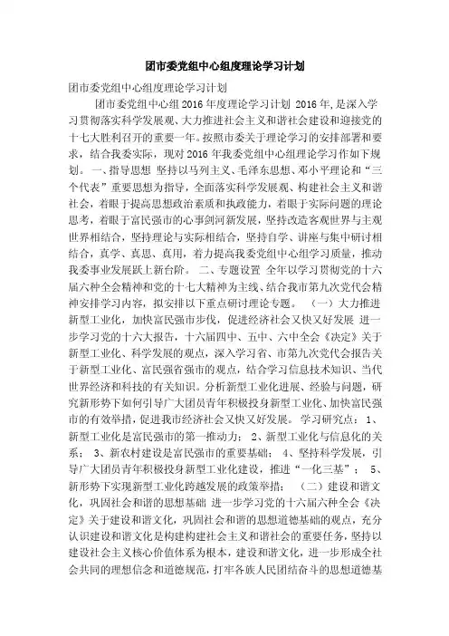 团市委党组中心组度理论学习计划（精简篇）