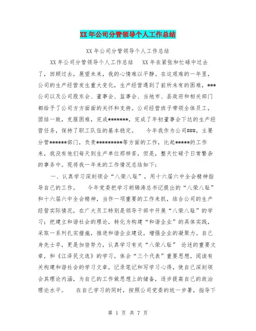 XX年公司分管领导个人工作总结