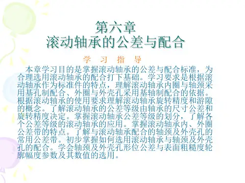 第六章  滚动轴承的公差与配合