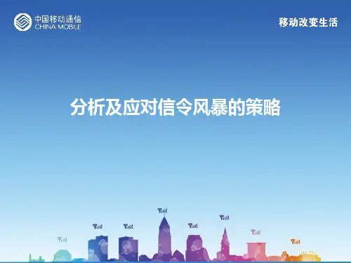 分析及应对信令风暴的策略