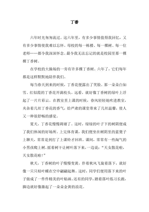 丁香