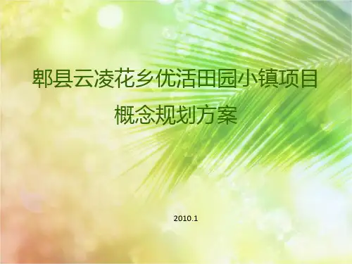 特色田园综合体项目概念规划方案