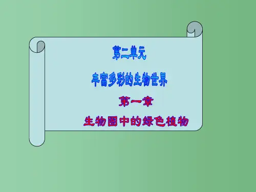 七年级生物上册 第二单元第一章生物圈中的绿色植物复习课件 教科版