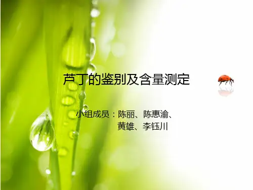 芦丁和槲皮素的化学检识 (2)