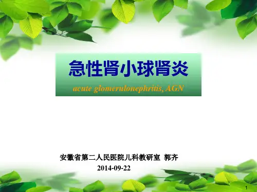 急性肾小球肾炎