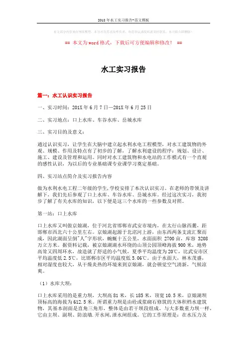 2018年水工实习报告-范文模板 (11页)