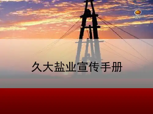 久大盐业宣传手册