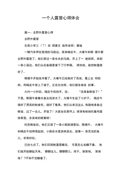 一个人露营心得体会