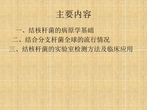 医学课件结核病实验室检查的临床意义
