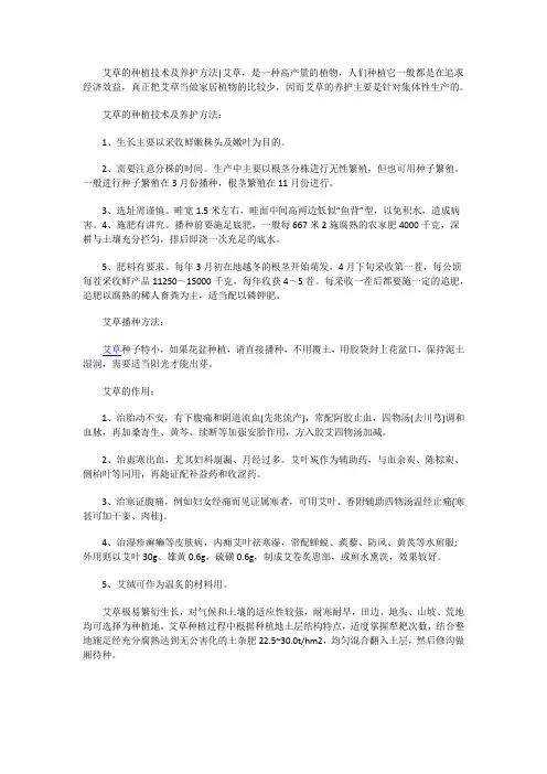 艾草的种植技术及养护方法