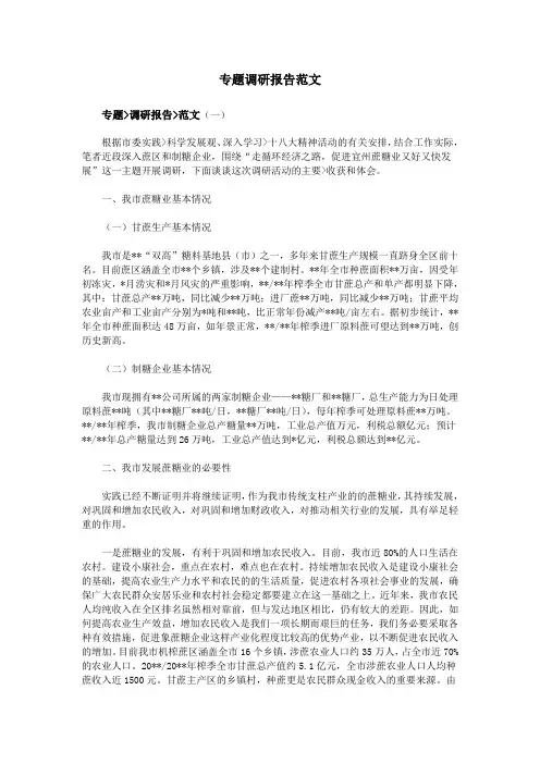 专题调研报告范文