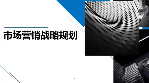 工商管理市场营销战略规划环境分析 ppt课件