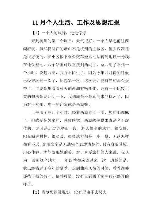 11月个人生活、工作及思想汇报