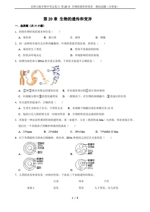 北师大版生物中考总复习 第20章 生物的遗传和变异  测试试题(含答案)