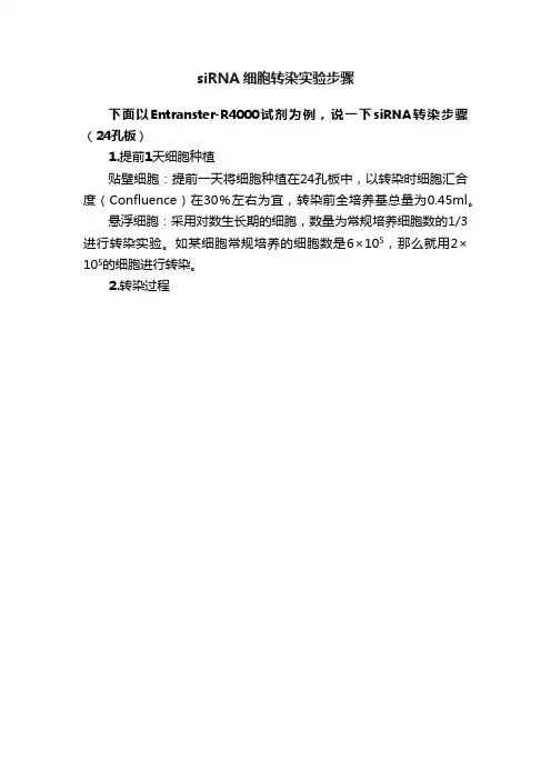 siRNA细胞转染实验步骤