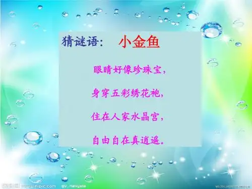 画金鱼
