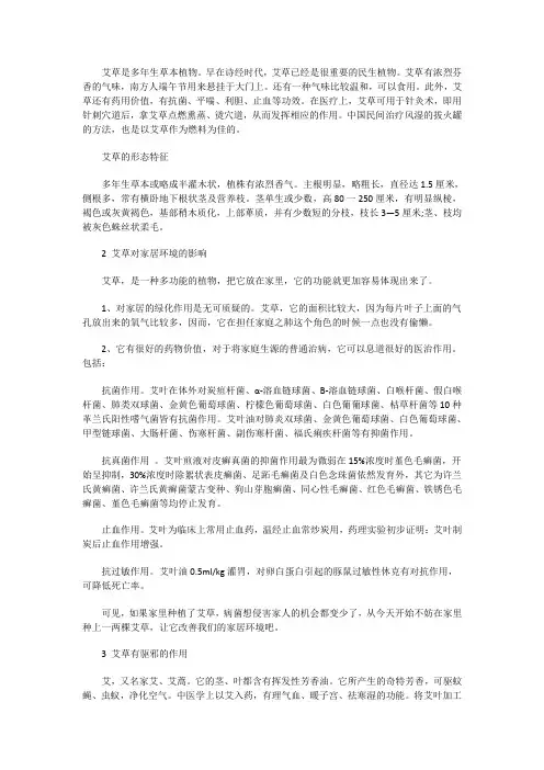 艾草的基本常识介绍
