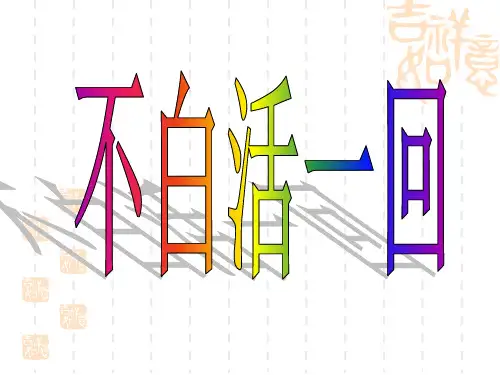 保险激励专题教材