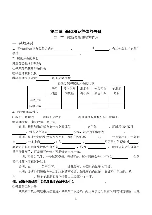 减数分裂