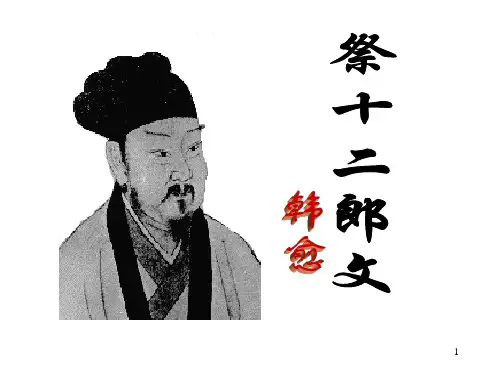 祭十二郎文ppt课件