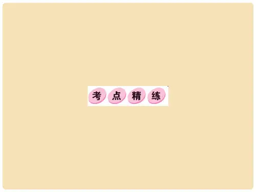 中考语文 第四部分 现代文阅读 考点精练课件4