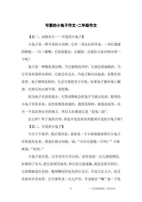 可爱的小兔子作文-二年级作文