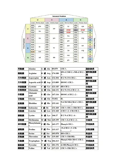 氨基酸密码子对照表 2