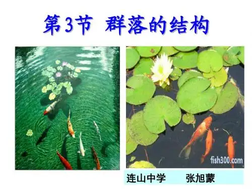 群落的结构