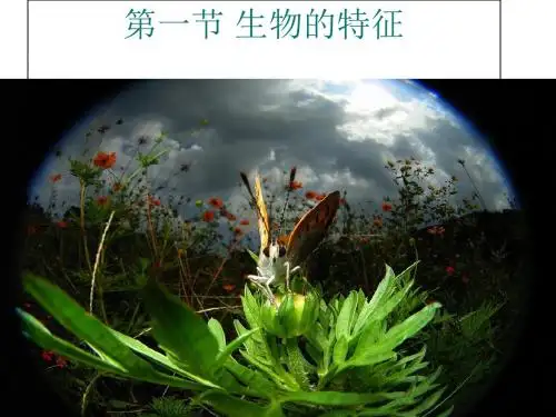 2014年新人教版七年级生物上册-第一章-认识生物第一节-生物的特