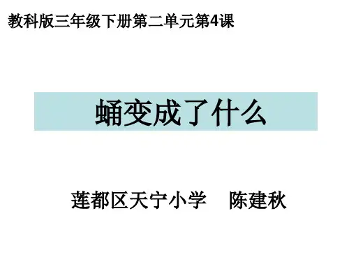 三年级下册科学课件      蛹变成了什么       教科版