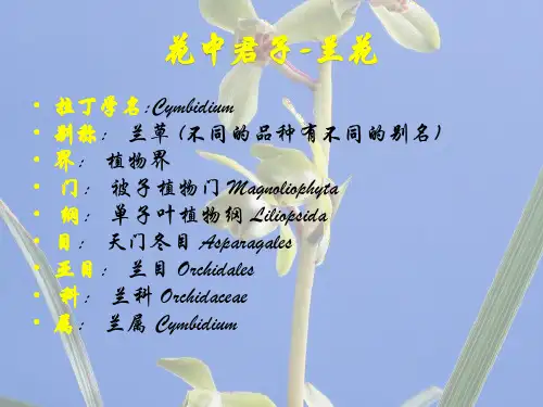 中国十大名花简介PPT