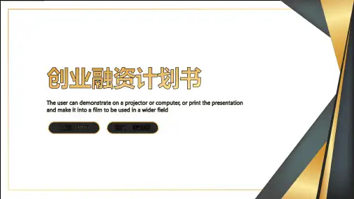 专业咨询行业商业计划书PPT