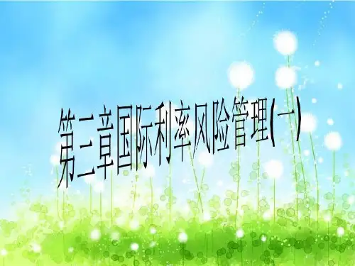 第三章国际利率风险管理(一)
