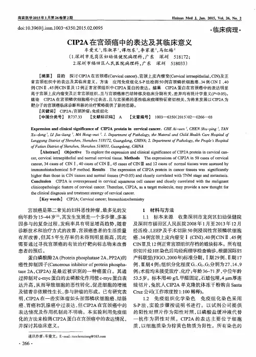 CIP2A在宫颈癌中的表达及其临床意义