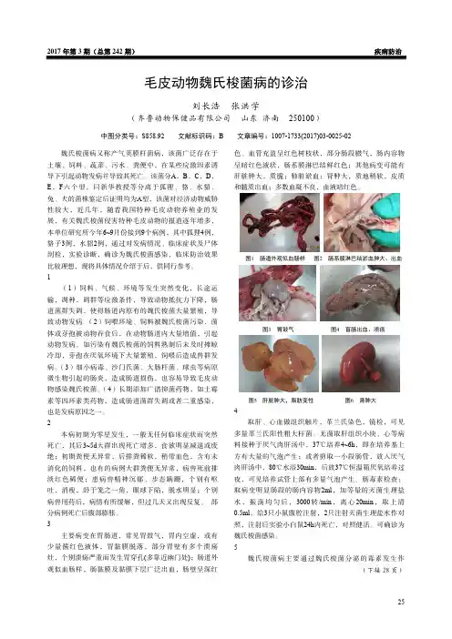 毛皮动物魏氏梭菌病的诊治