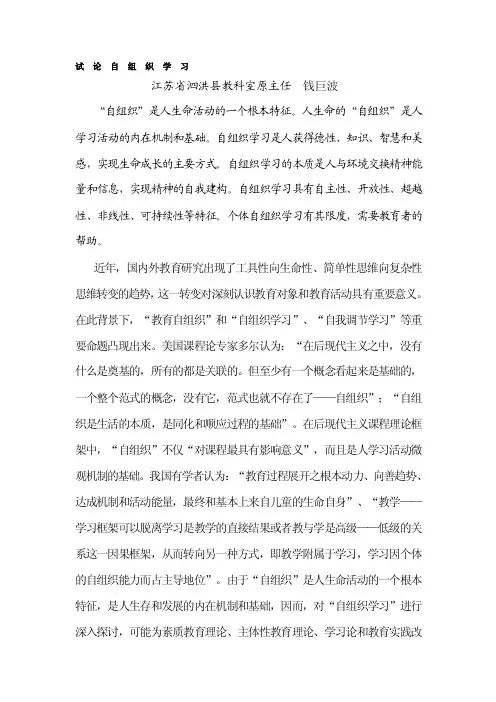 试论自组织学习
