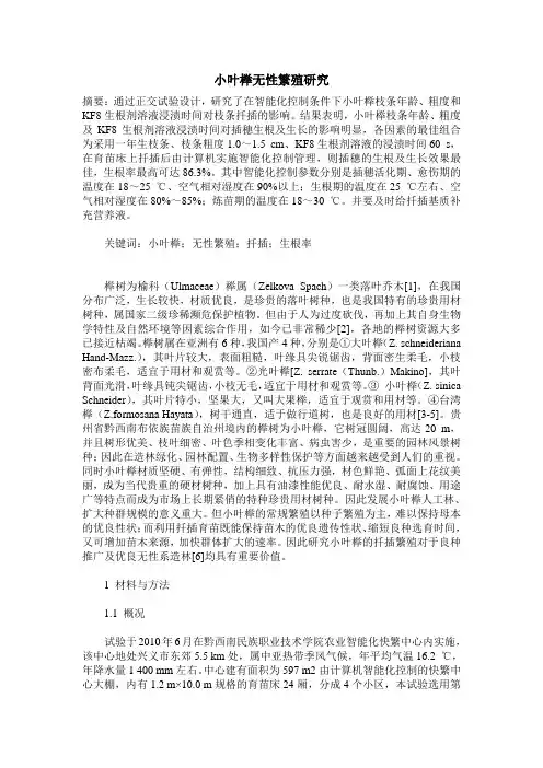 小叶榉无性繁殖研究