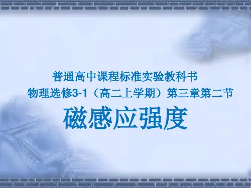 人教版高中物理选修3-1课件：3.2磁感应强度3