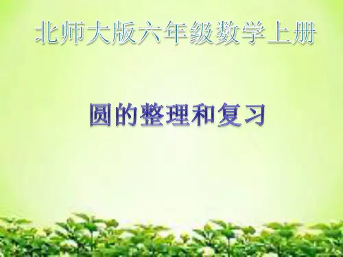 圆的整理和复习