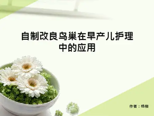 自制改良鸟巢在早产儿护理中的应用