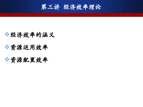 经济效率理论..