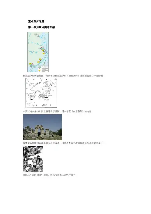 八年级历史重点图片专题