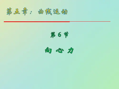 人教版高中物理必修二 向心力