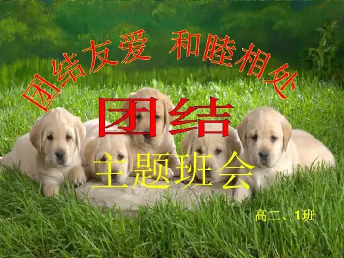 团结友爱主题班会课件.共15页