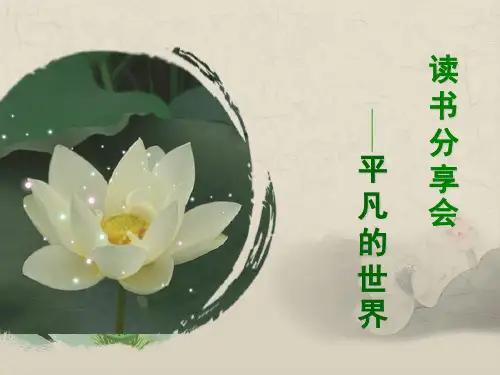 平凡的世界读书分享ppt
