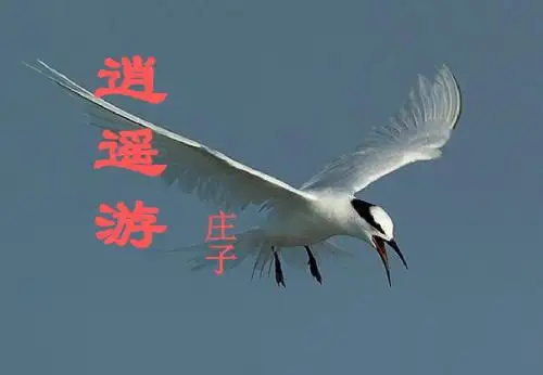 人教高中语文 必修五 2.6 《逍遥游》优秀课件(共42张PPT)