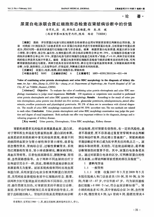 尿蛋白电泳联合尿红细胞形态检查在肾脏病诊断中的价值